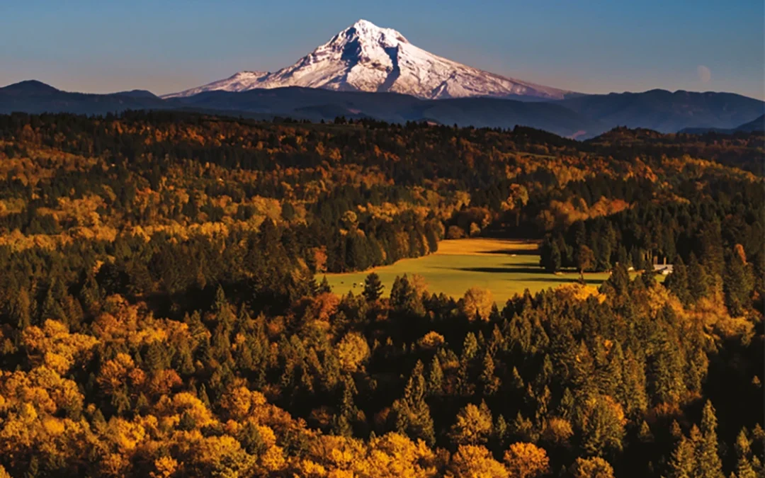 Fall-ing for Portland: de ultieme herfstgids